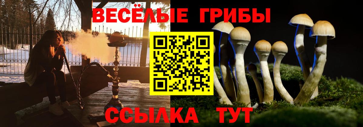Псилоцибиновые грибы мухоморы  Галлюциногенные грибы прущие грибы  Абинск  Вход с VPN 